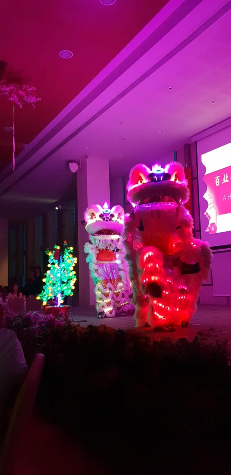 Gallery Image 14